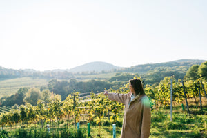 Jutta Ambrositsch makes natural wine in the middle of the Austrian capital Vienna. Like many of the women producers in this book, she has changed careers because she has a passion for organic viticulture and for wine without crap.