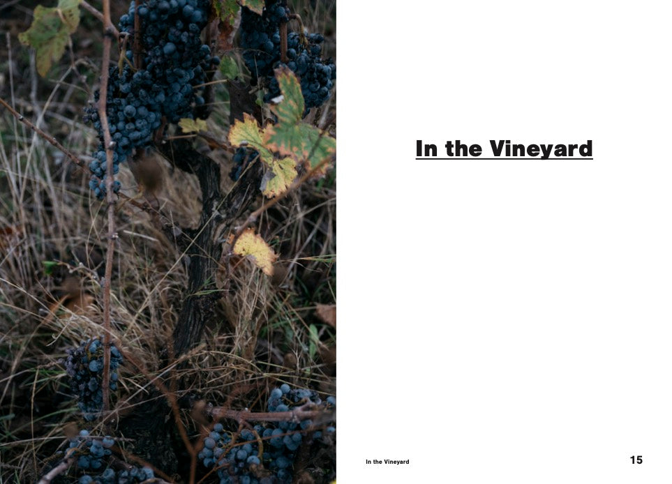 Natural Trailblazers E-Book